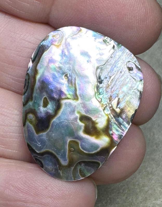 Freeform 31x24mm Paua Shell Cabochon 10