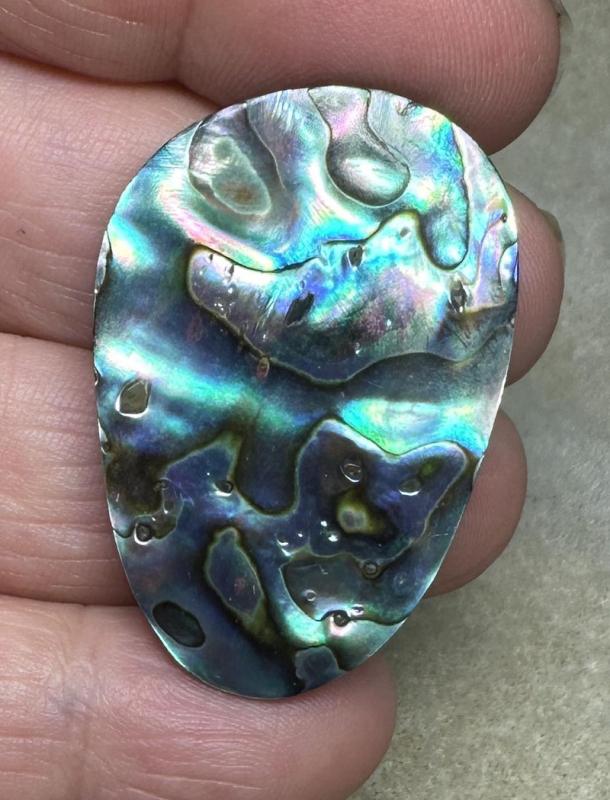 Freeform 39x26mm Paua Shell Cabochon 14