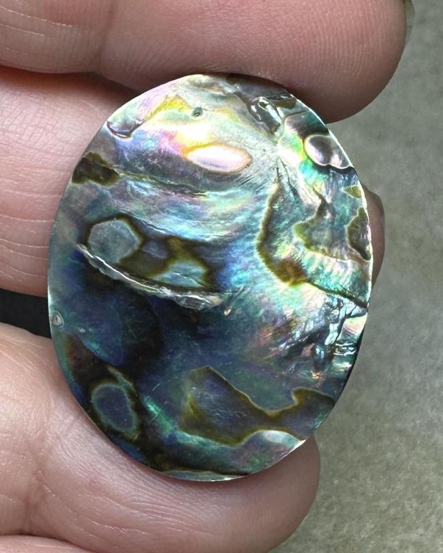 Oval 32x25mm Paua Shell Cabochon 18