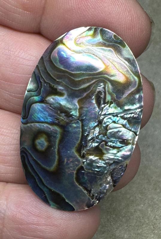 Oval 38x24mm Paua Shell Cabochon 28