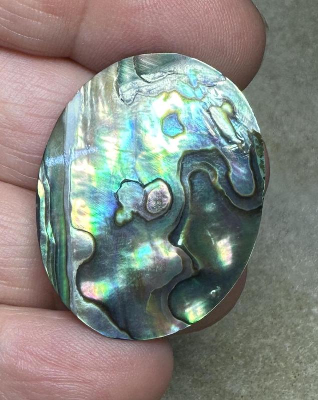 Oval 33x26mm Paua Shell Cabochon 31