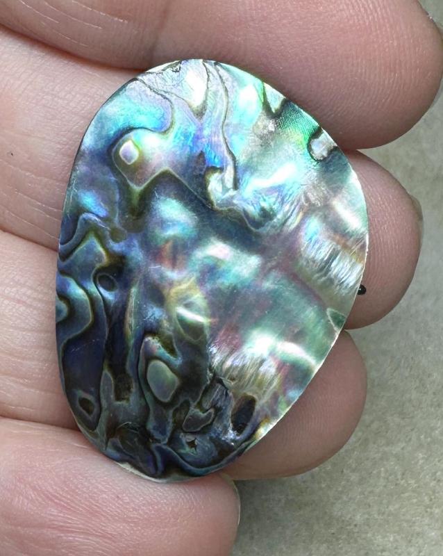 Freeform 34x25mm Paua Shell Cabochon 40