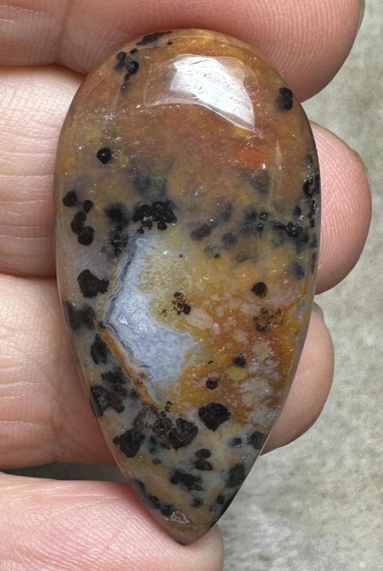 Teardrop 41x20mm Cheetah Jasper Cabochon 08