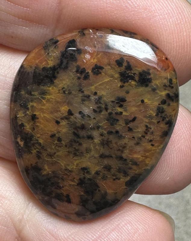 Freeform 31x25mm Cheetah Jasper Cabochon 13