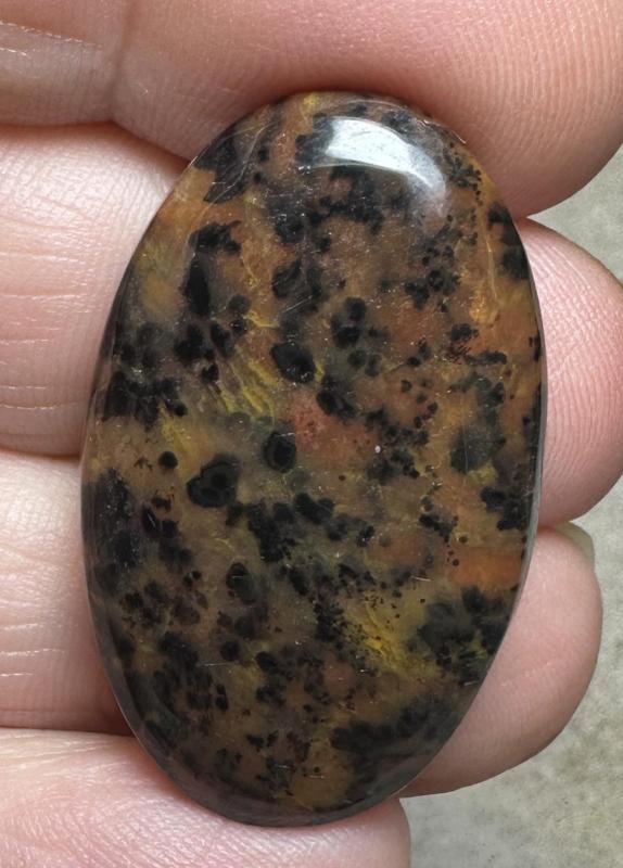 Oval 33x20mm Cheetah Jasper Cabochon 19