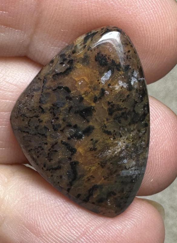 Freeform 27x19mm Cheetah Jasper Cabochon 24