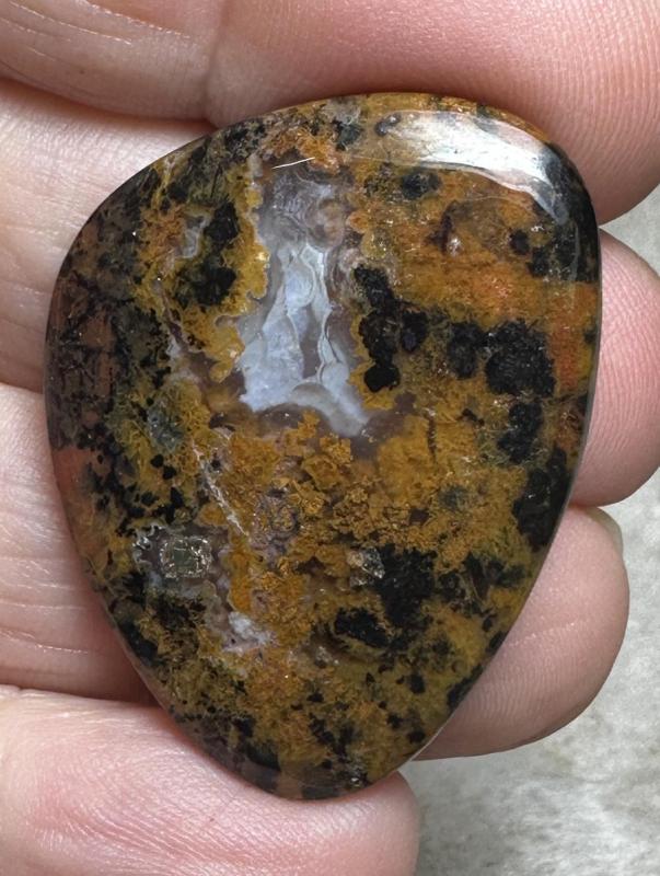 Freeform 35x27mm Cheetah Jasper Cabochon 27