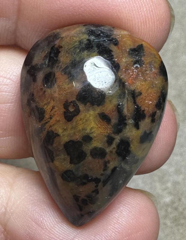 Teardrop 30x22mm Cheetah Jasper Cabochon 29