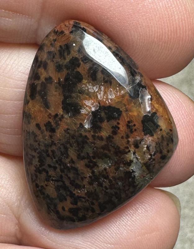 Freeform 31x22mm Cheetah Jasper Cabochon 30
