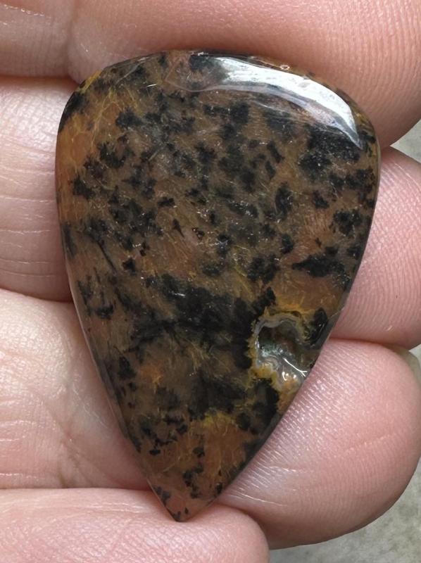 Teardrop 30x20mm Cheetah Jasper Cabochon 31