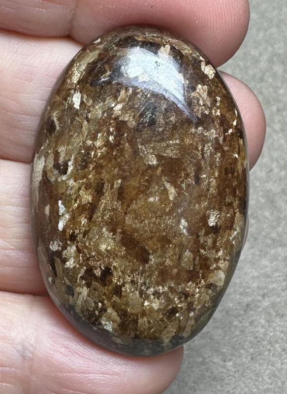 Oval 44x29mm Bronzite Cabochon 08