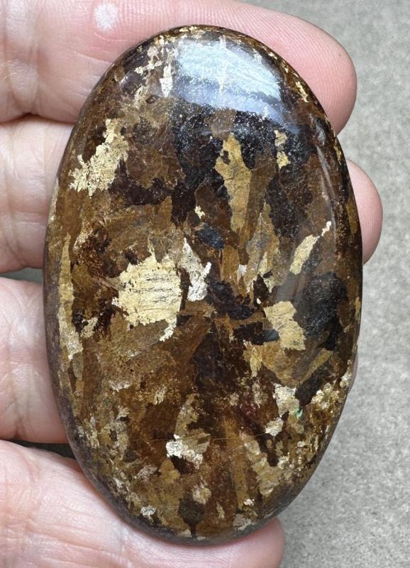 Oval 63x38mm Bronzite Cabochon 14