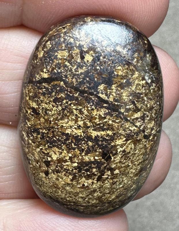 Oval 32x23mm Bronzite Cabochon 19