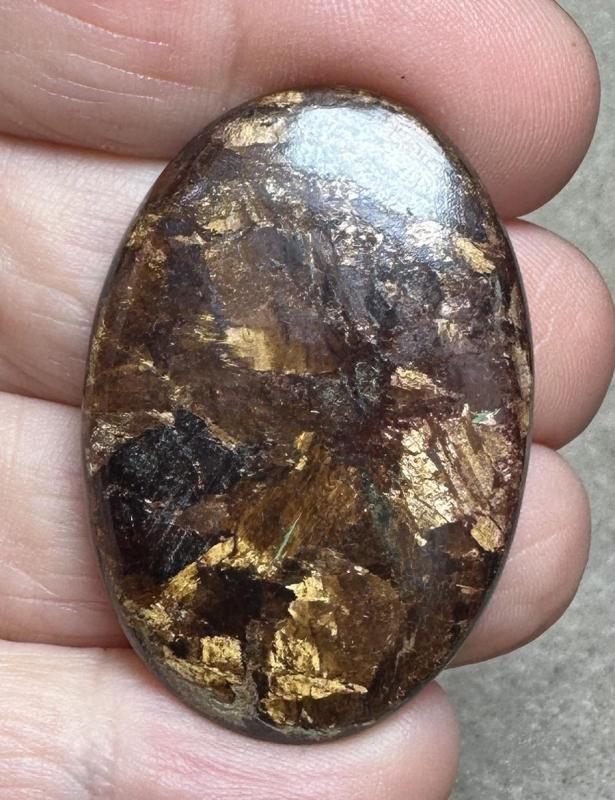 Oval 39x26mm Bronzite Cabochon 25