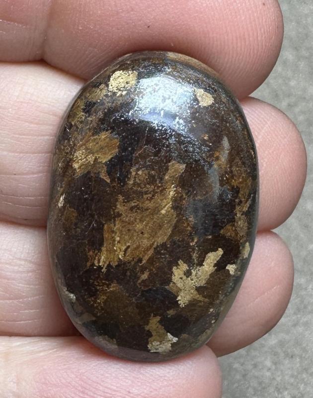 Oval 31x21mm Bronzite Cabochon 28