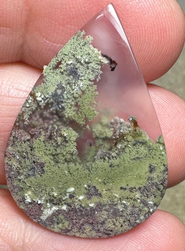 Teardrop 32x22mm Scenic Java Moss Agate Cabochon 12
