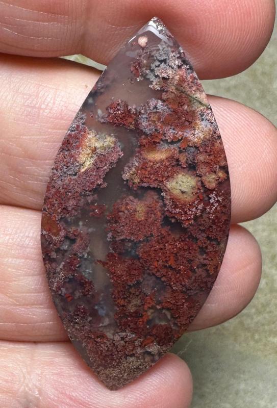 Marquise 47x23mm Scenic Java Moss Agate Cabochon 14