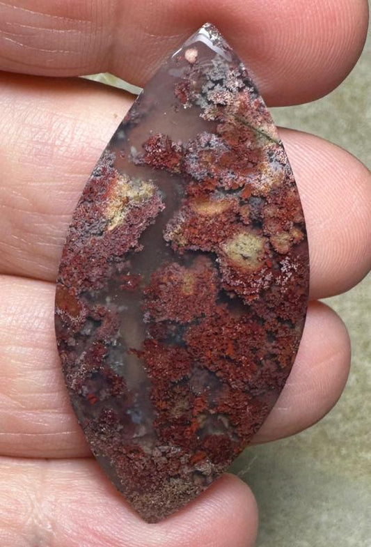 Marquise 47x23mm Scenic Java Moss Agate Cabochon 14