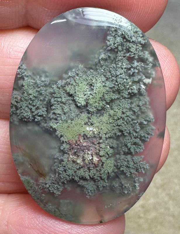 Oval 36x25mm Scenic Java Moss Agate Cabochon 17