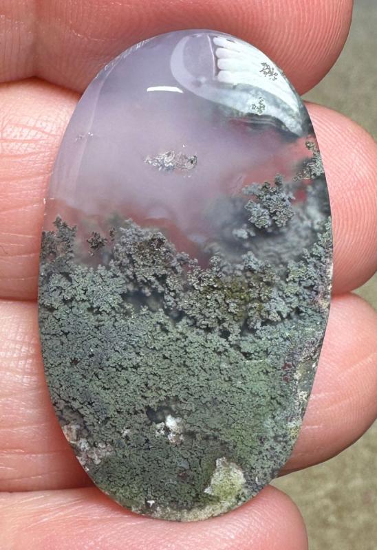 Oval 35x21mm Scenic Java Moss Agate Cabochon 30