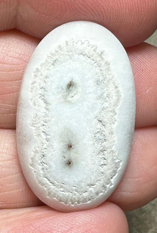 Oval 31x18mm Solar Moss Quartz Cabochon 48