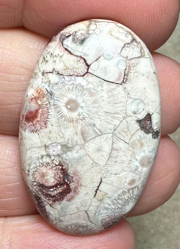 Oval 35x22mm Birds Eye Jasper Cabochon 13