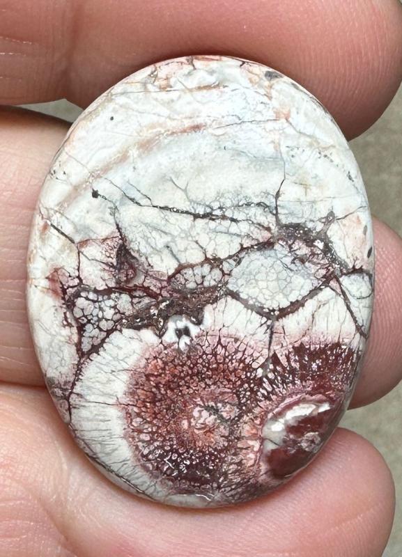 Oval 31x24mm Birds Eye Jasper Cabochon 25