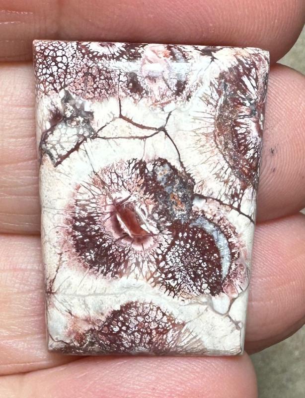 Rectangle 29x21mm Birds Eye Jasper Cabochon 35