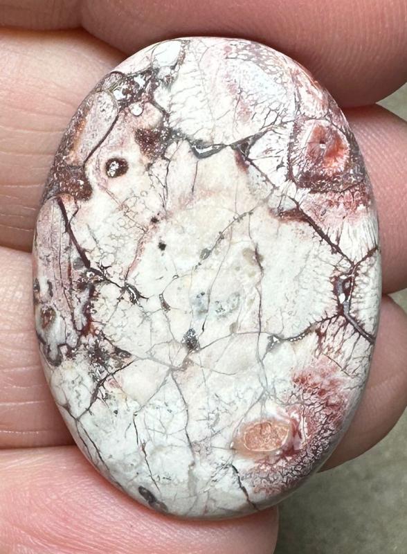 Oval 33x24mm Birds Eye Jasper Cabochon 36