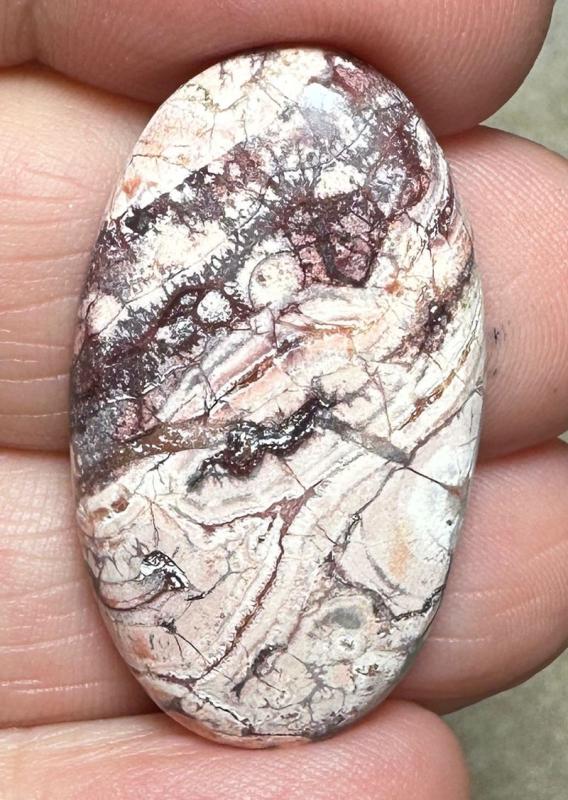 Oval 34x19mm Birds Eye Jasper Cabochon 41