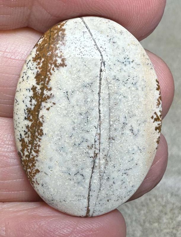 Oval 35x25mm Picture Jasper Cabochon 19