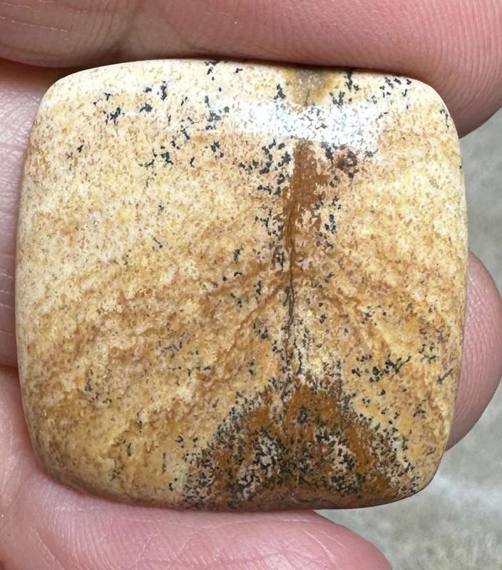 Square 26x26mm Picture Jasper Cabochon 22
