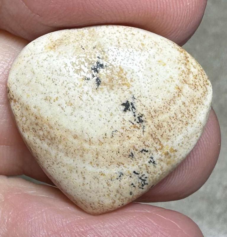 Teardrop 22x23mm Picture Jasper Cabochon 23