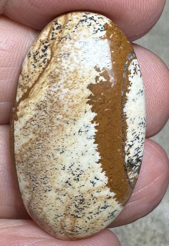 Oval 33x19mm Picture Jasper Cabochon 24