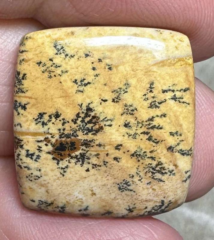 Rectangle 21x20mm Picture Jasper Cabochon 27