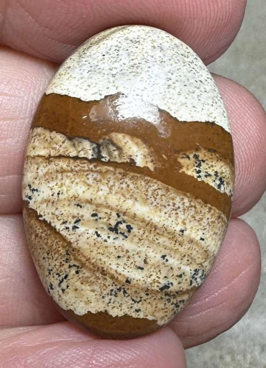 Oval 30x20mm Picture Jasper Cabochon 28