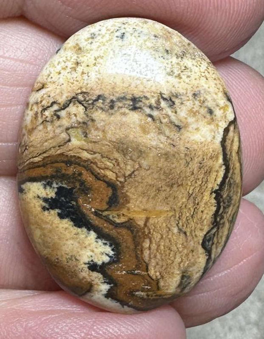 Oval 28x21mm Picture Jasper Cabochon 30