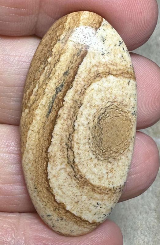 Oval 45x22mm Picture Jasper Cabochon 31