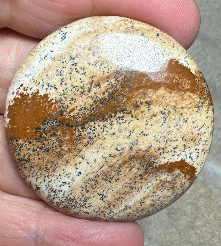 Round 43x43mm Picture Jasper Cabochon 32