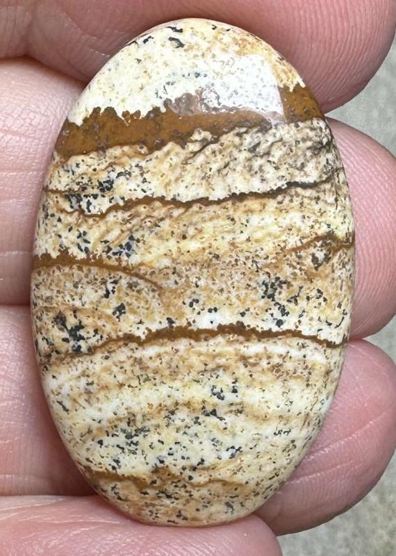 Oval 32x21mm Picture Jasper Cabochon 35