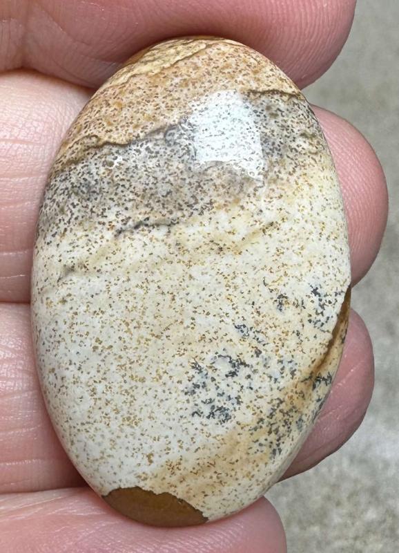 Oval 34x22mm Picture Jasper Cabochon 37