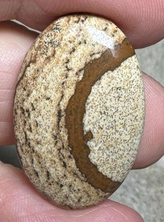 Oval 29x19mm Picture Jasper Cabochon 40