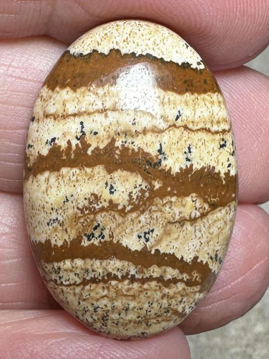 Oval 30x20mm Picture Jasper Cabochon 41