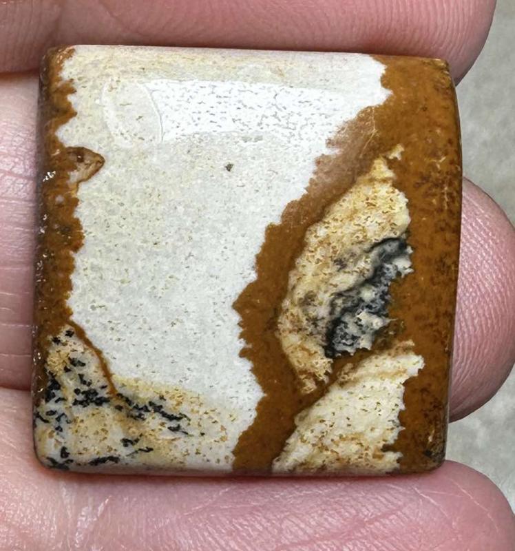 Square 22x22mm Picture Jasper Cabochon 42