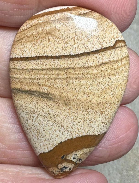 Teardrop 41x27mm Picture Jasper Cabochon 45