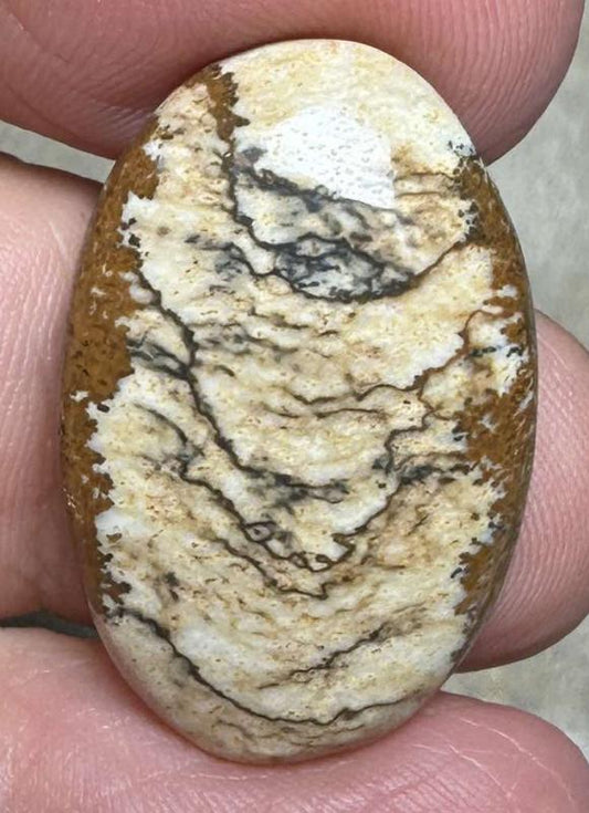 Oval 27x18mm Picture Jasper Cabochon 47