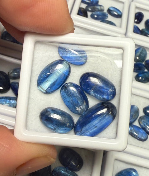 6x Small Mixed Kyanite Cabochon Pack