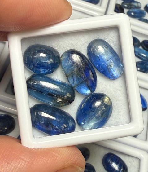 6x Small Mixed Kyanite Cabochon Pack