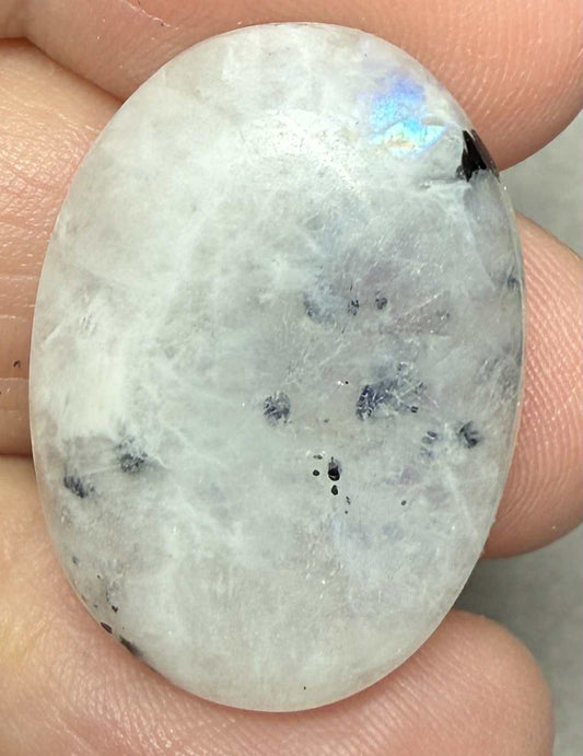 Oval 27x19mm Rainbow Moonstone with Tourmaline Cabochon 26