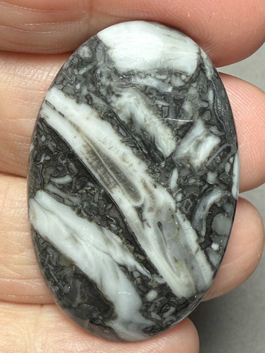 Oval 42x27mm Orthoceras Fossil Cabochon 20